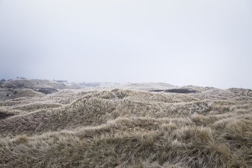 Denmark, Henne Strand, Dune landscape - BMA000157