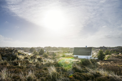 Dänemark, Henne Strand, Haus in den Grasdünen, lizenzfreies Stockfoto