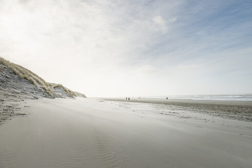 Denmark, Henne Strand, People walking at the beach - BMA000163