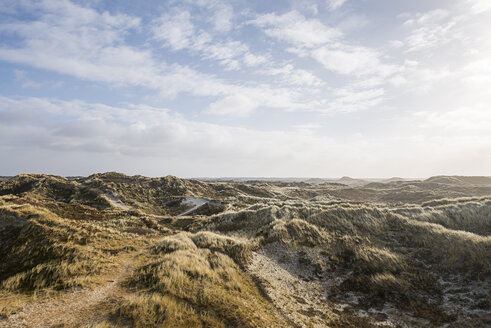 Dänemark, Henne Strand, Dünenlandschaft - BMA000177