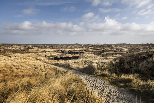 Denmark, Henne Strand, Dune landscape - BMA000178