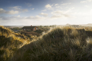 Denmark, Henne Strand, House in the grass dunes - BMA000179