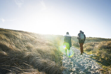 Denmark, Henne Strand, People hiking in dune landscape - BMA000181