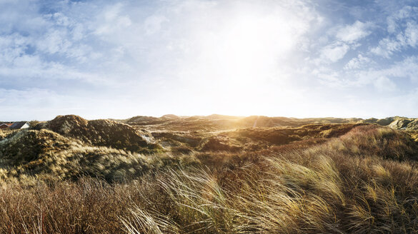 Dänemark, Henne Strand, Dünenlandschaft - BMA000206