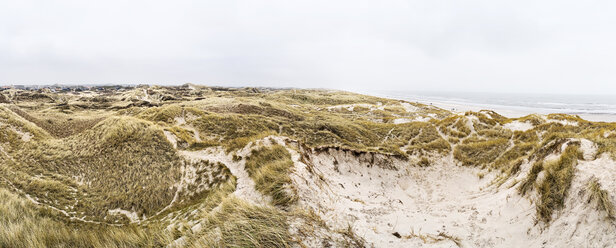 Dänemark, Henne Strand, Dünenlandschaft - BMA000209