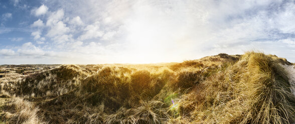 Dänemark, Henne Strand, Dünenlandschaft - BMA000211