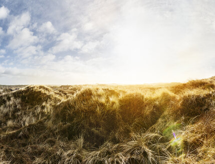 Dänemark, Henne Strand, Dünenlandschaft - BMA000216