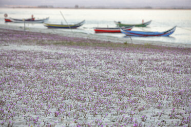 Traditionelles Fischerboot Moliceiro, Blumen am Strand im Vordergrund - DSGF001127