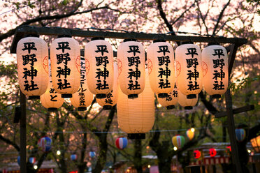 Japan, Kyoto, Reihe von beleuchteten japanischen Laternen in einem Park zur Blütezeit - GEMF000806