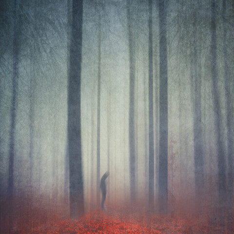 Silhouette eines im Wald stehenden Mannes, lizenzfreies Stockfoto