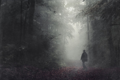Silhouette eines Mannes, der im herbstlichen Wald bei Dunst spazieren geht, lizenzfreies Stockfoto