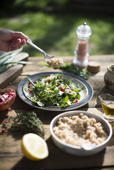 Green salad with pomegranate, manna croup, spring onion - DEGF000763