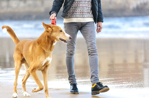 Mann, der mit seinem Hund am Strand spazieren geht - MGOF001593