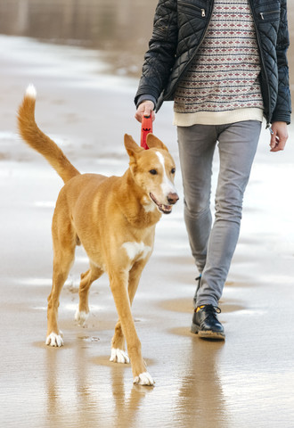 Mann, der mit seinem Hund am Strand spazieren geht, lizenzfreies Stockfoto