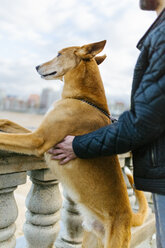 Mann und sein Hund schauen in die Ferne - MGOF001604