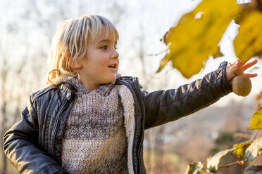 Kleiner Junge in herbstlicher Natur - ZOCF000017