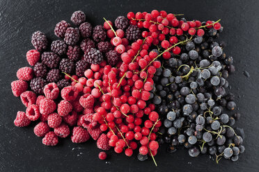 Deep frozen red and black currents, rasberries and blackberries - CSF027354