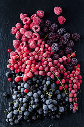 Deep frozen red and black currents, rasberries and blackberries - CSF027356