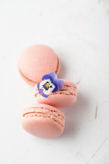 Drei rosa Macarons und ein Hornveilchen - MYF001438