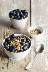 Bowl of porridge with blueberries - EVGF002880