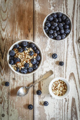 Bowl of porridge with blueberries - EVGF002885