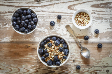 Bowl of porridge with blueberries - EVGF002887
