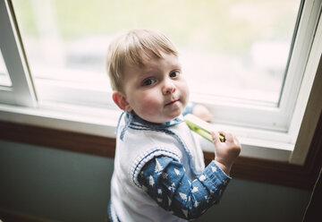 Portrait of toddler in front of a window - RAEF000965