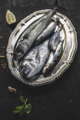 Raw fish, sea bream, sea bass, mackerel and sardines - DEGF000780