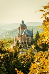 Deutschland, Bonn, Schloss Drachenburg, Drachenfels im Herbst - TAM000455