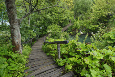 Croatia, Karlovac, Wodden boardwalk in Plitvice Lakes National Park - RUEF001677