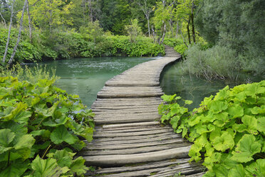 Kroatien, Karlovac, Woddenpromenade im Nationalpark Plitvicer Seen - RUEF001678