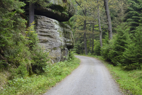 Deutschland, Sachsen, Feldweg im Wald, Nationalpark Sächsische Schweiz, lizenzfreies Stockfoto