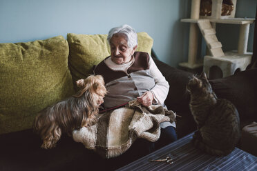 Ältere Frau sitzt mit ihrem Yorkshire Terrier auf der Couch in ihrem Wohnzimmer, während ihre Katze sie beobachtet - RAEF000971
