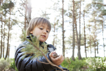 Portrait of little boy playing with conifer branch in the woods - VABF000390