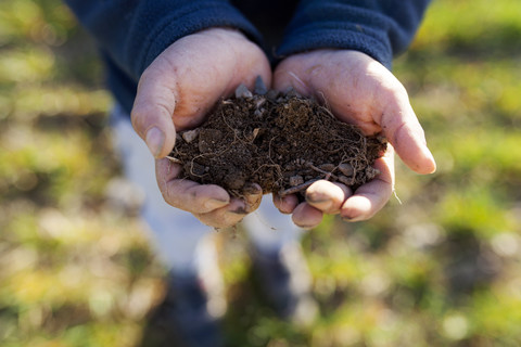 Soil in hands of a boy stock photo