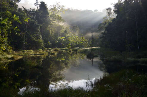 Brasilien, Para, Amazonas-Regenwald, Teich am Morgen - FLKF000664