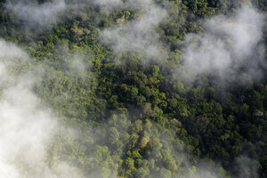 Brazil, Para, Amazon rainforest and clouds - FLKF000666