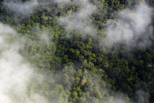 Brasilien, Para, Amazonas-Regenwald und Wolken - FLKF000666
