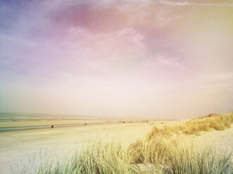 Belgium, Flanders, De Haan area, North Sea, dune grass, sand dunes and low tide on beach, springtime - GWF004663