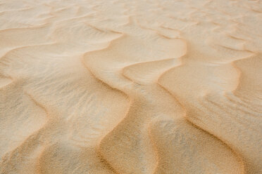 UAE, Rub' al Khali, ripple marks in the desert sand, close-up - MAUF000392