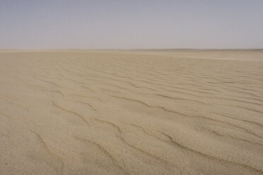 UAE, Rub' al Khali, ripple marks in the desert sand - MAUF000401