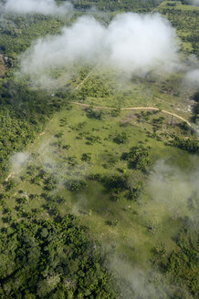 Brasilien, Para, Itaituba, Amazonas-Regenwald, Brandrodung, Rekultivierung von Weideland - FLKF000682