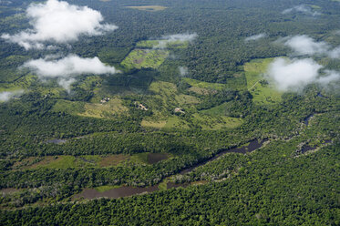 Brasilien, Para, Itaituba, Amazonas-Regenwald, Brandrodung, Rekultivierung von Weideland - FLKF000684