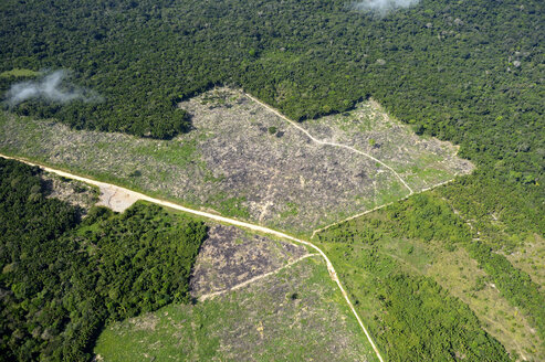 Brazil, Para, Itaituba, Amazon rainforest, slash and burn, reclamation of pastureland - FLKF000685