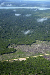 Brasilien, Para, Itaituba, Amazonas-Regenwald, Brandrodung, Rekultivierung von Weideland - FLKF000686