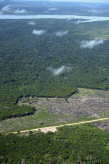 Brasilien, Para, Itaituba, Amazonas-Regenwald, Brandrodung, Rekultivierung von Weideland - FLKF000686