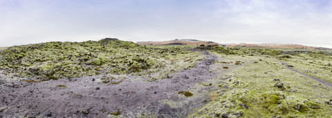 Island, moosbewachsene Lavafelder, lizenzfreies Stockfoto