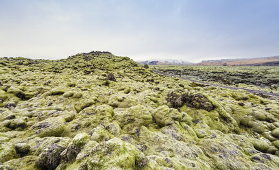 Iceland, mossy lava fields - EPF000048