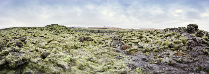Iceland, mossy lava fields - EPF000049