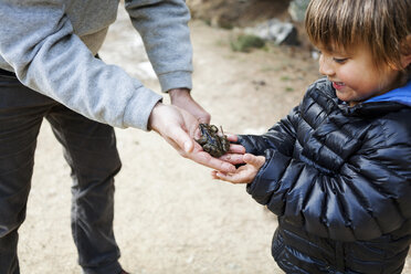 Vater zeigt seinem kleinen Sohn einen Frosch, der auf seiner Hand sitzt - VABF000422